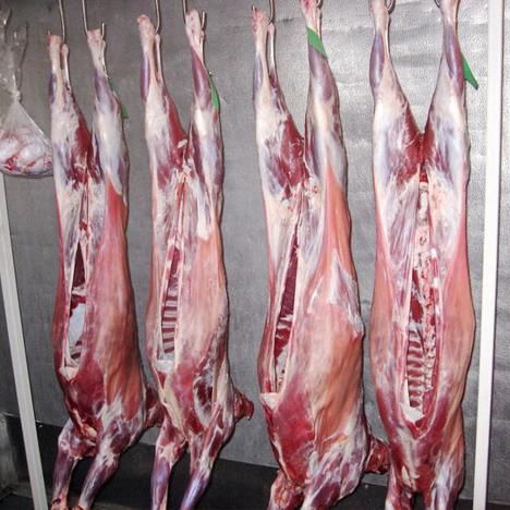Ethiopian frozen lamb