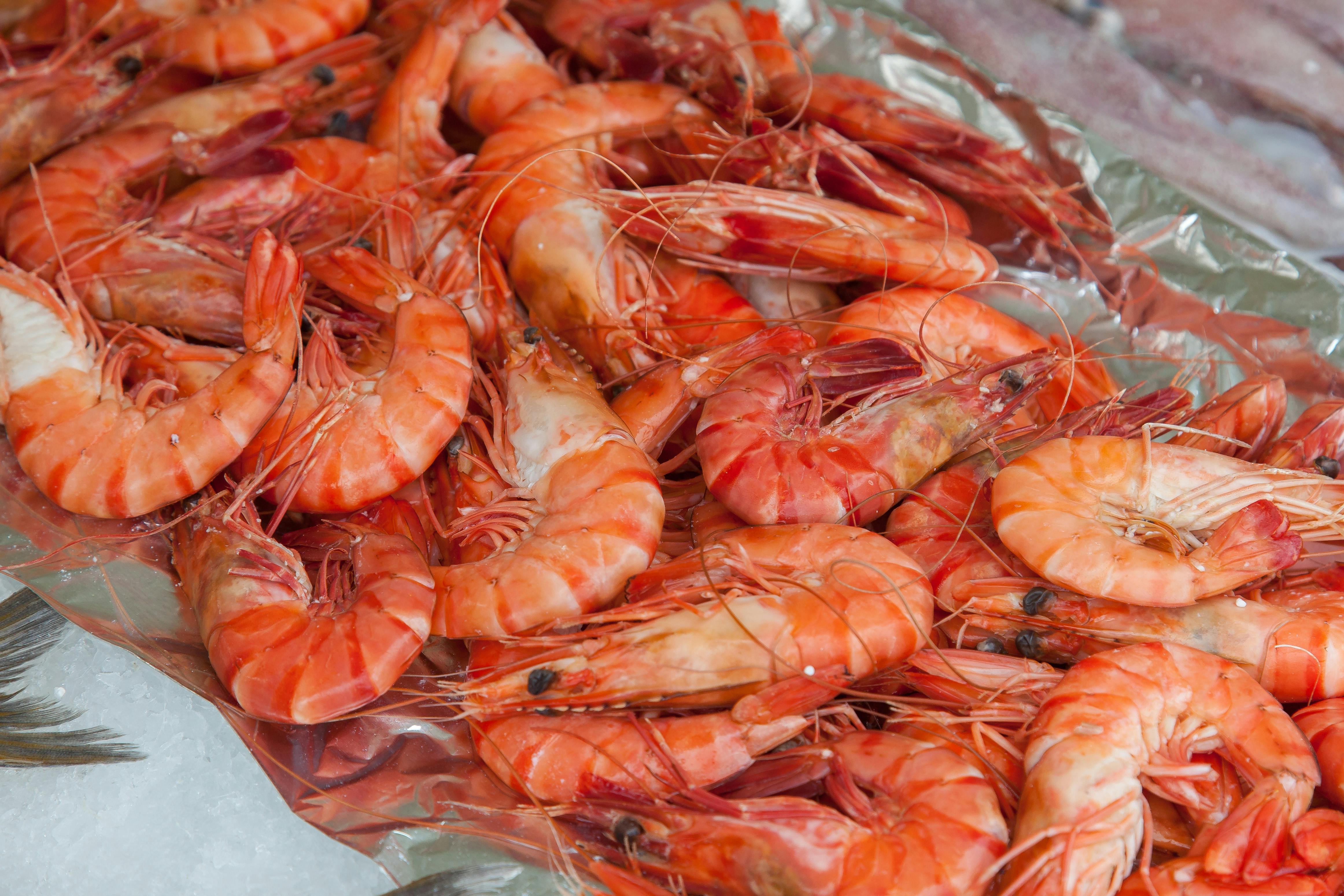 Prawns